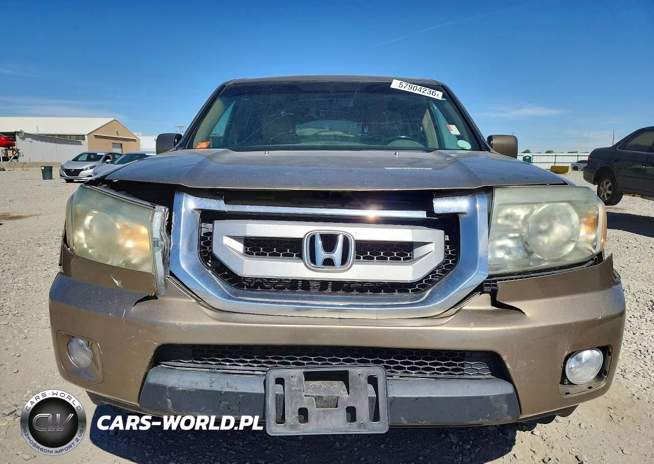 2009 Honda Pilot Exl VIN:5FNYF48699B022126 - 5