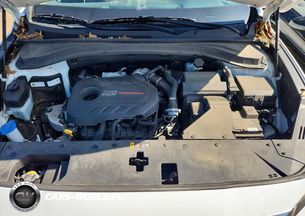 2020 Hyundai Santa Fe Sel 2.0T VIN:5NMS3CAAXLH285481 - 11