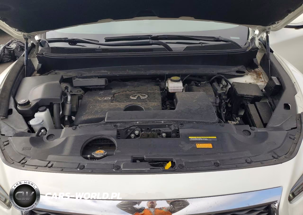 2019 Infiniti Qx60 Luxe VIN:5N1DL0MN4KC531732 - 12
