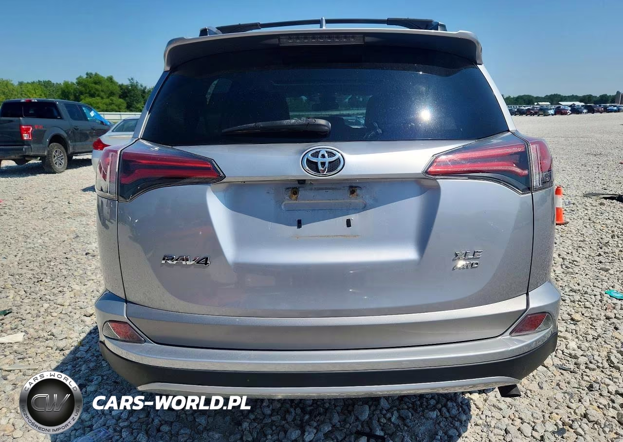 2017 Toyota Rav4 Xle VIN:2T3RFREV9HW613353 - 6