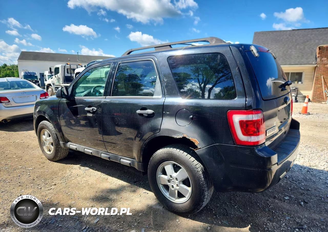2011 Ford Escape Xlt VIN:1FMCU0DG3BKA79899 - 2