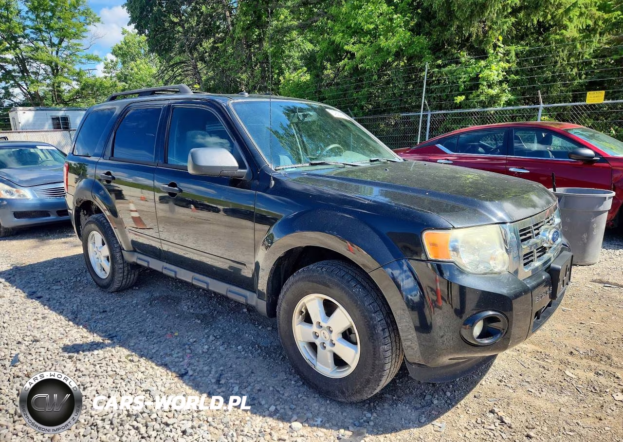 2011 Ford Escape Xlt VIN:1FMCU0DG3BKA79899 - 4