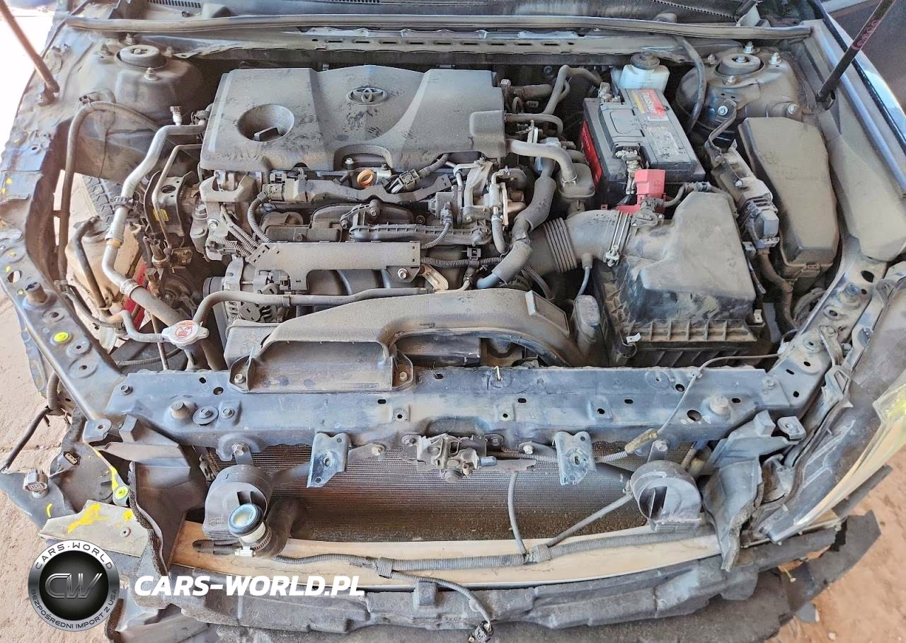 2019 Toyota Camry Le VIN:4T1B11HK1KU755652 - 11