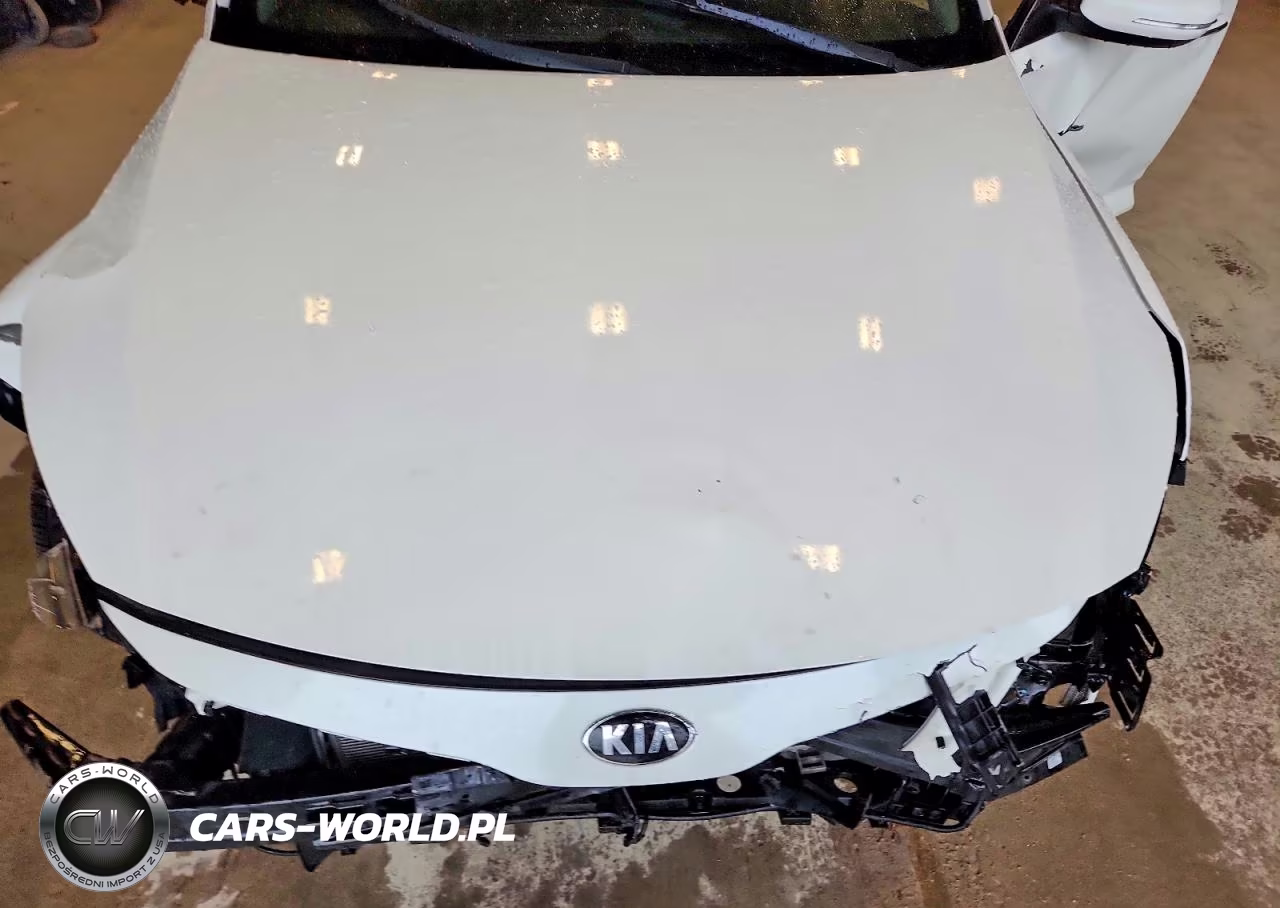 2014 Kia Optima Sx VIN:5XXGR4A65EG323450 - 11