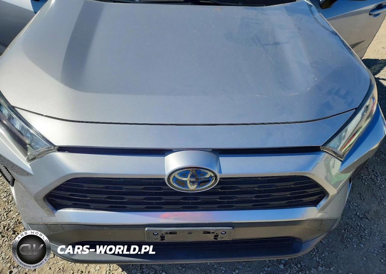 2019 Toyota Rav4 Le VIN:JTMLWRFV2KD026324 - 12