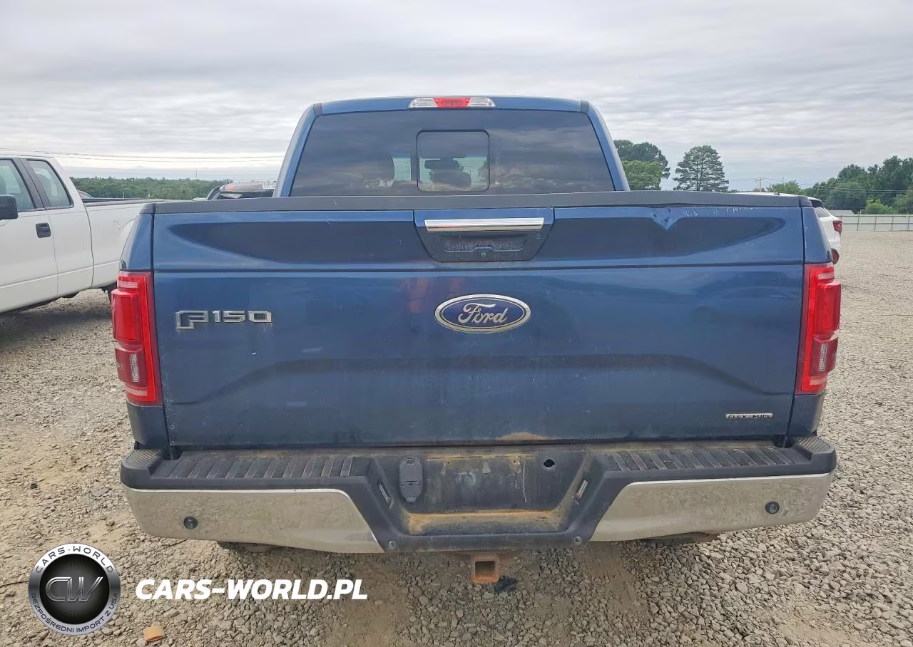 2016 Ford F150 Supercrew VIN:1FTEW1EF6GKD14516 - 6