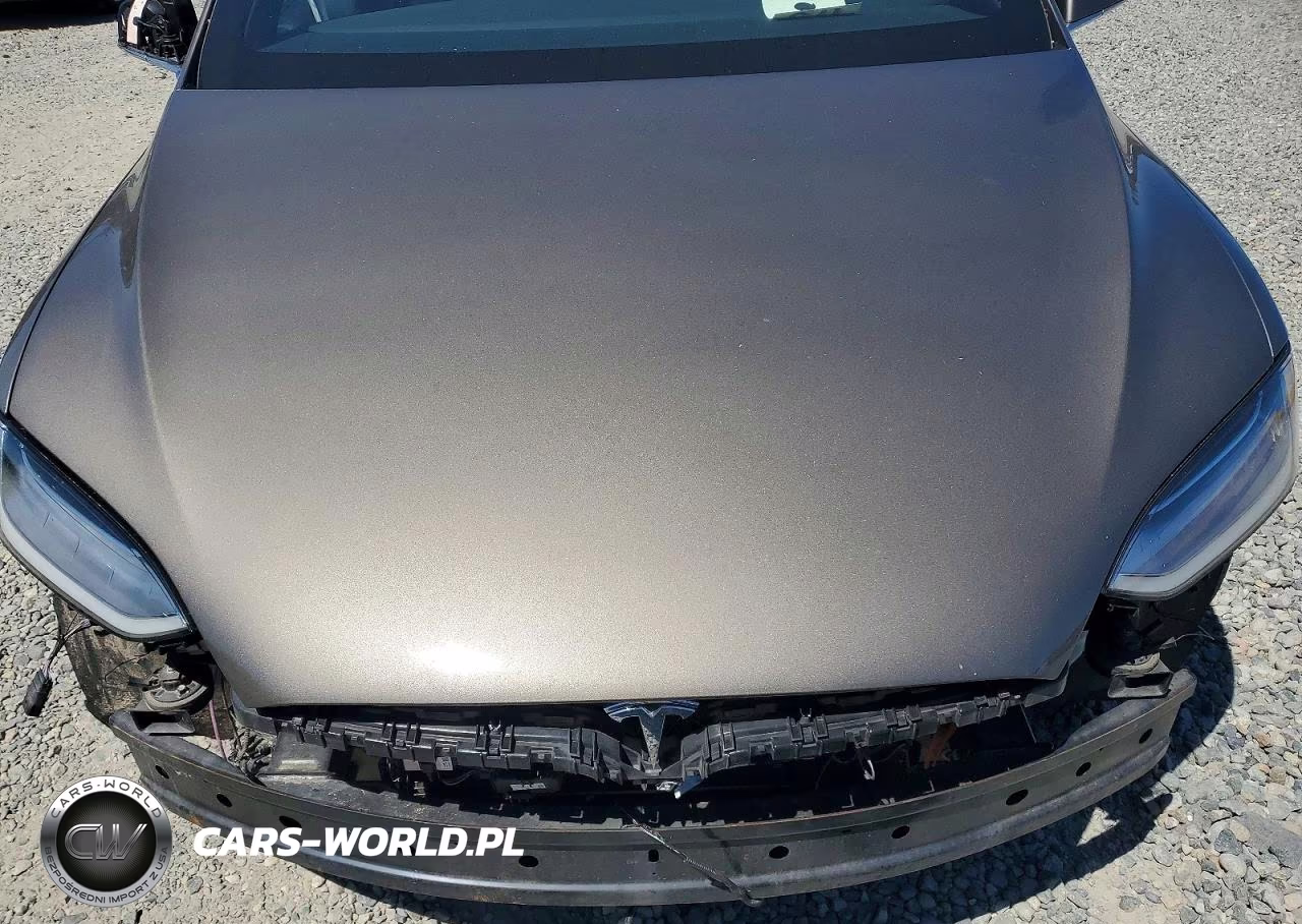 2016 Tesla Model X VIN:5YJXCAE48GF000461 - 11