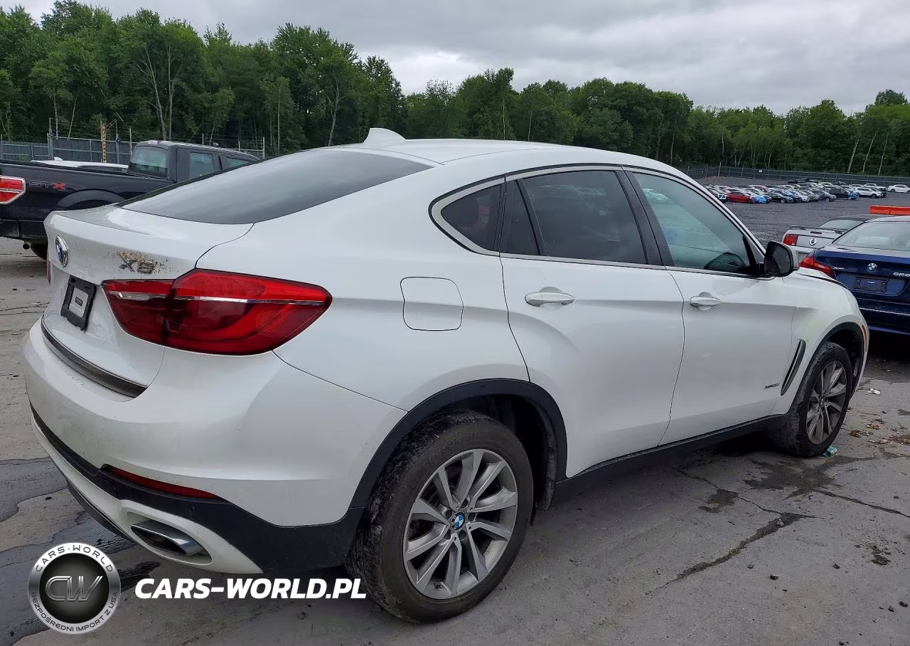 2018 BMW X6 xDrive35I VIN:5UXKU2C59J0X49962 - 3