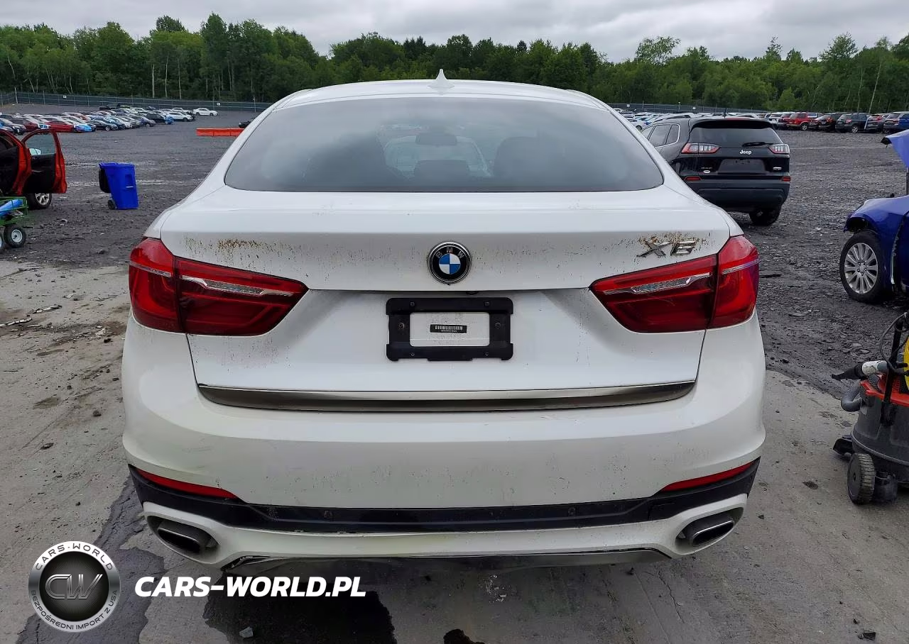 2018 BMW X6 xDrive35I VIN:5UXKU2C59J0X49962 - 6