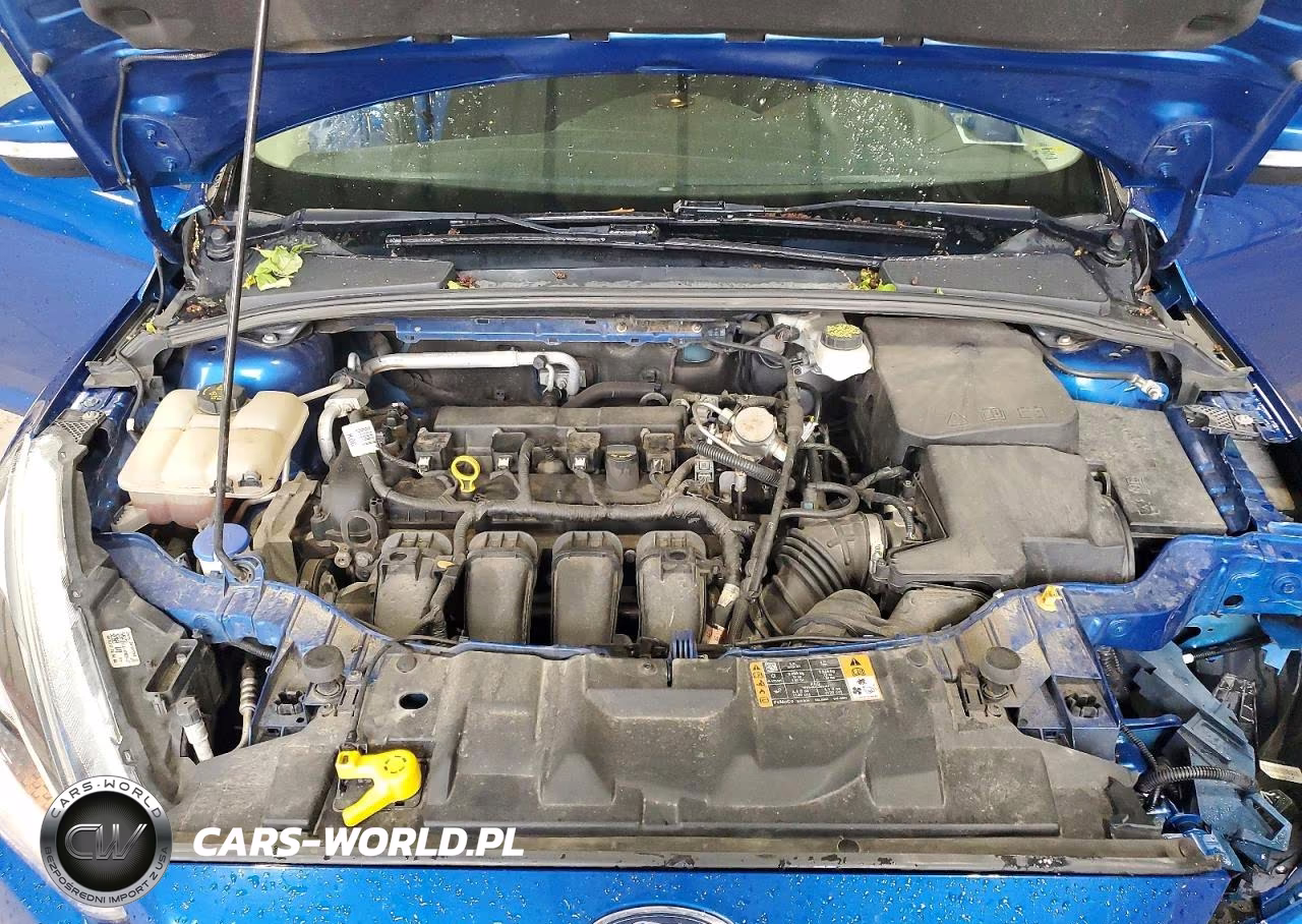 2018 Ford Focus Se VIN:1FADP3F21JL200334 - 11