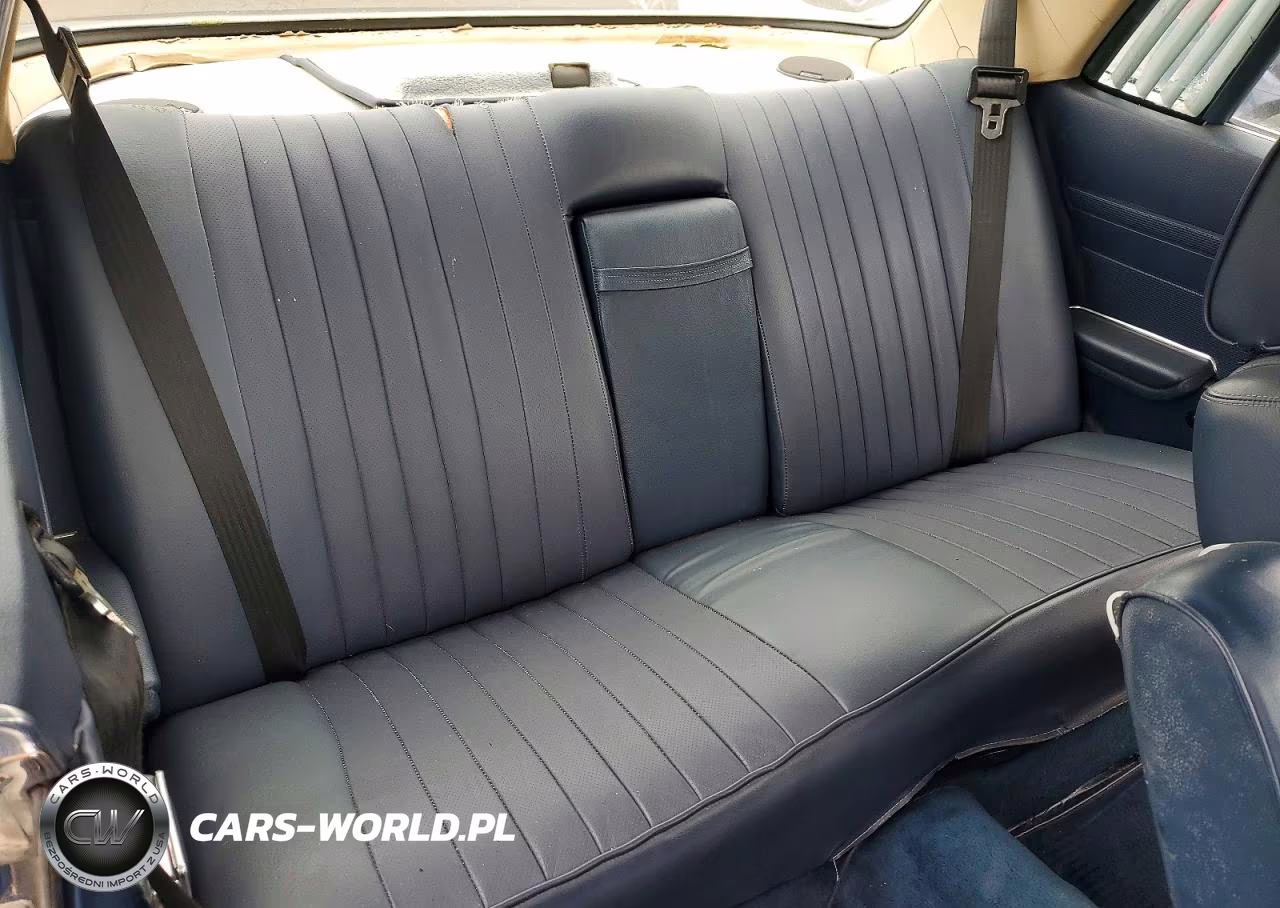 1978 Mercedes Benz Gla 250 VIN:10702412019822 - 10