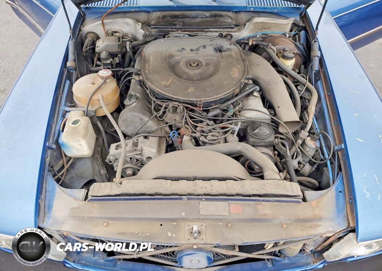 1978 Mercedes Benz Gla 250 VIN:10702412019822 - 11