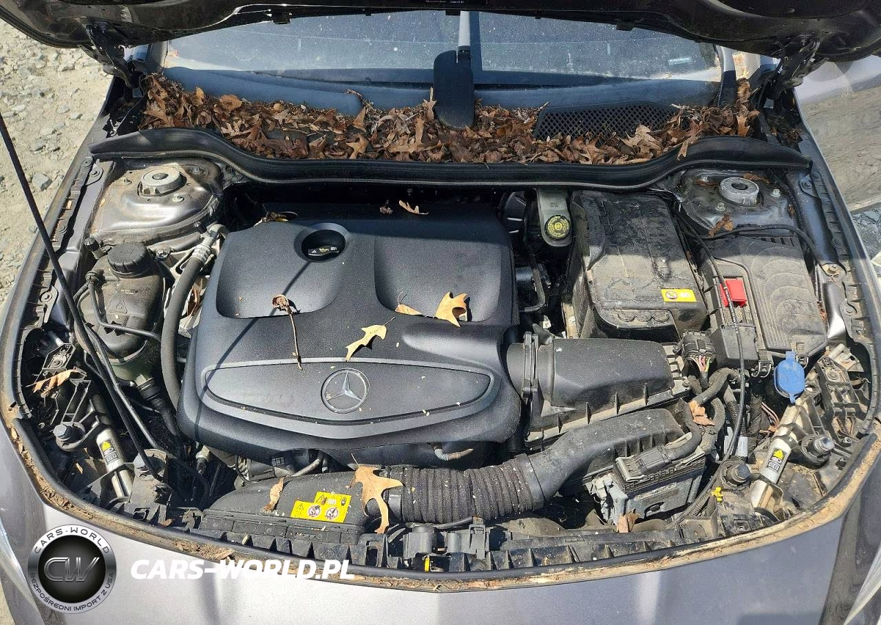 2014 Mercedes-Benz Cla 250 VIN:WDDSJ4EB2EN064130 - 11