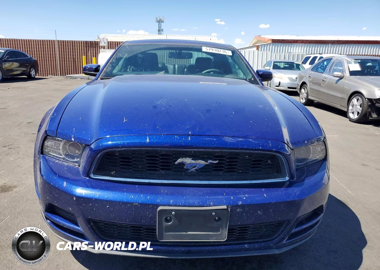 2014 Ford Mustang VIN:1ZVBP8AM6E5286187 - 5