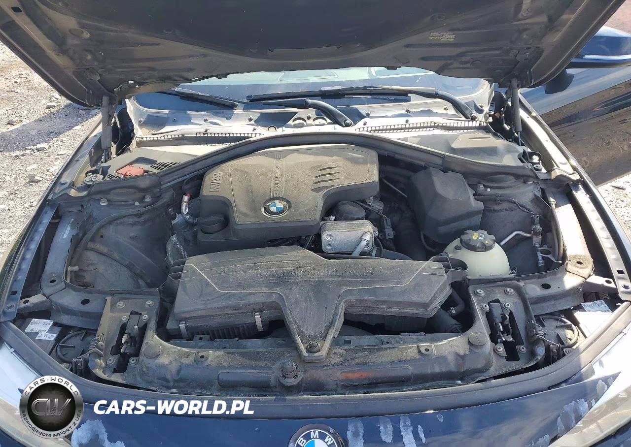 2014 BMW 428 Xi VIN:WBA3N5C58EK196703 - 11