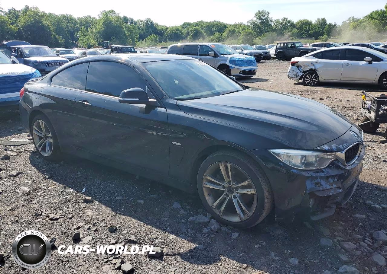 2014 BMW 428 Xi VIN:WBA3N5C58EK196703 - 4