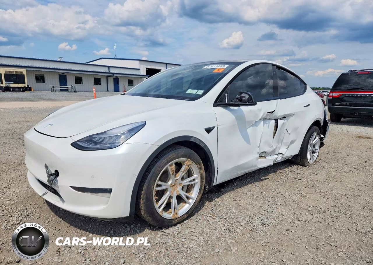 2020 Tesla Model Y