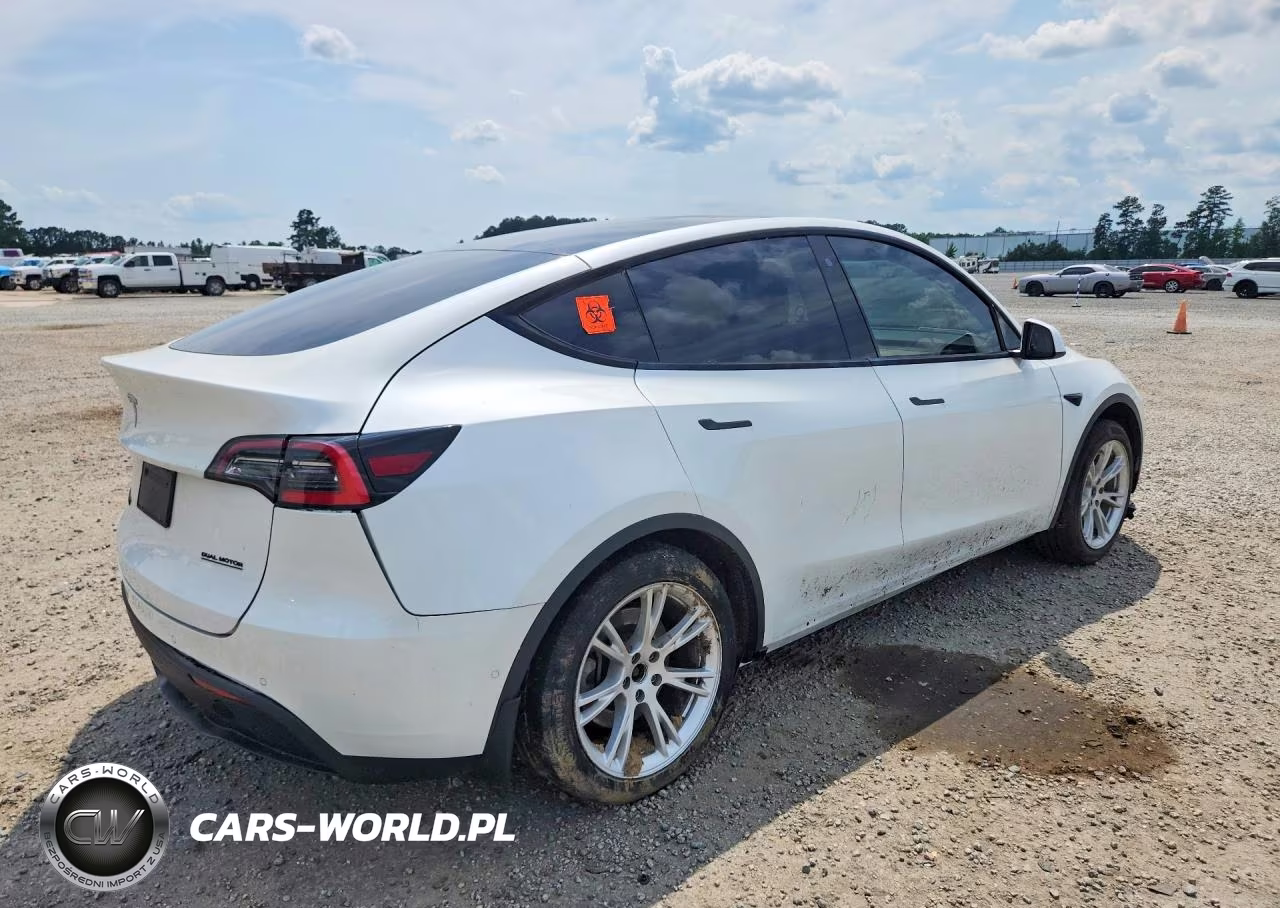 2020 Tesla Model Y VIN:5YJYGDEE4LF045023 - 3