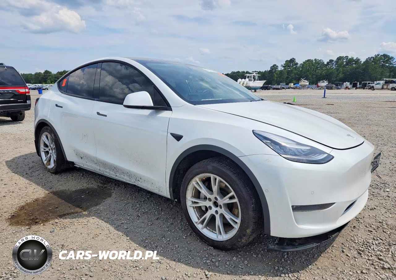 2020 Tesla Model Y VIN:5YJYGDEE4LF045023 - 4