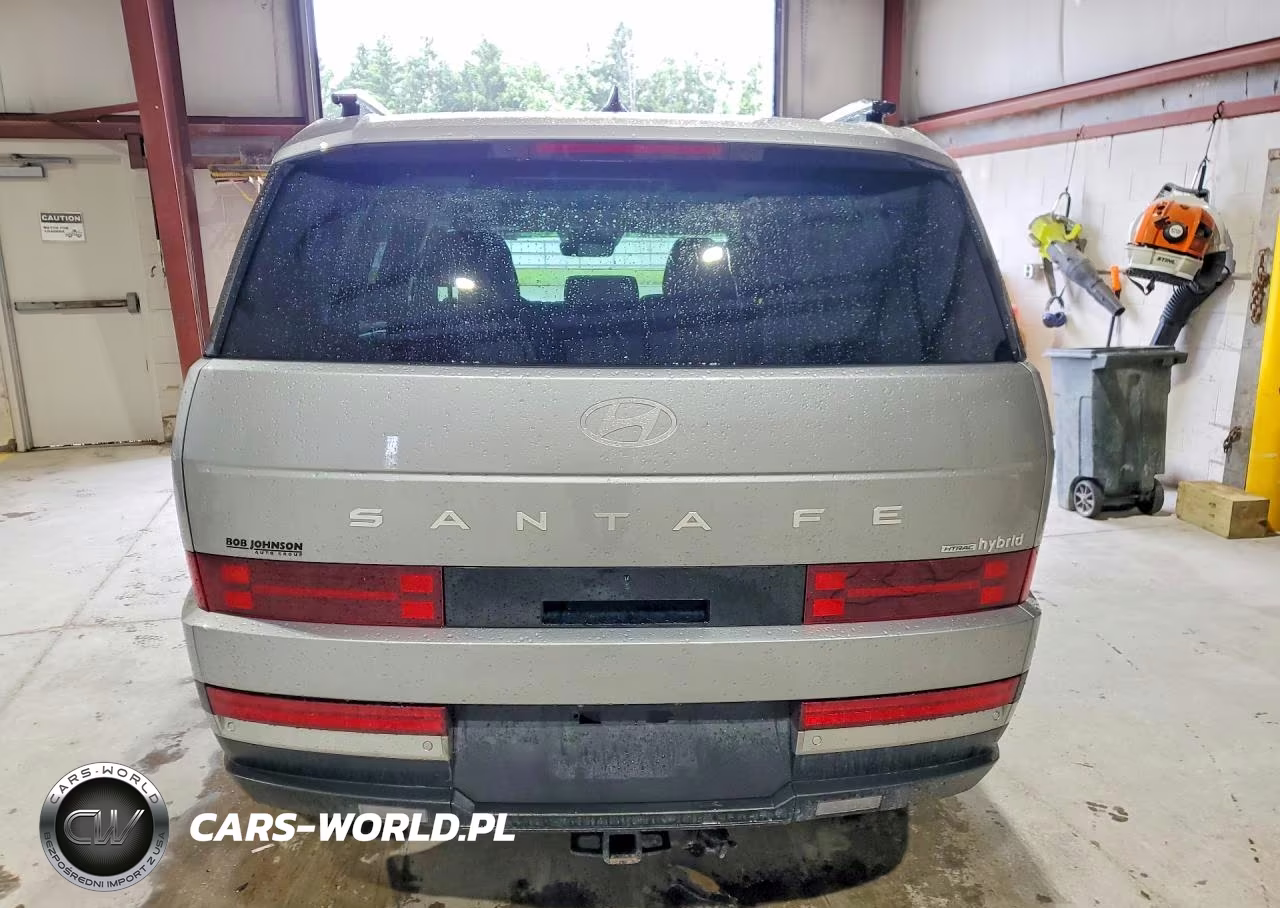 2024 Hyundai Santa Fe Limited VIN:5NMP3DG12RH015415 - 6