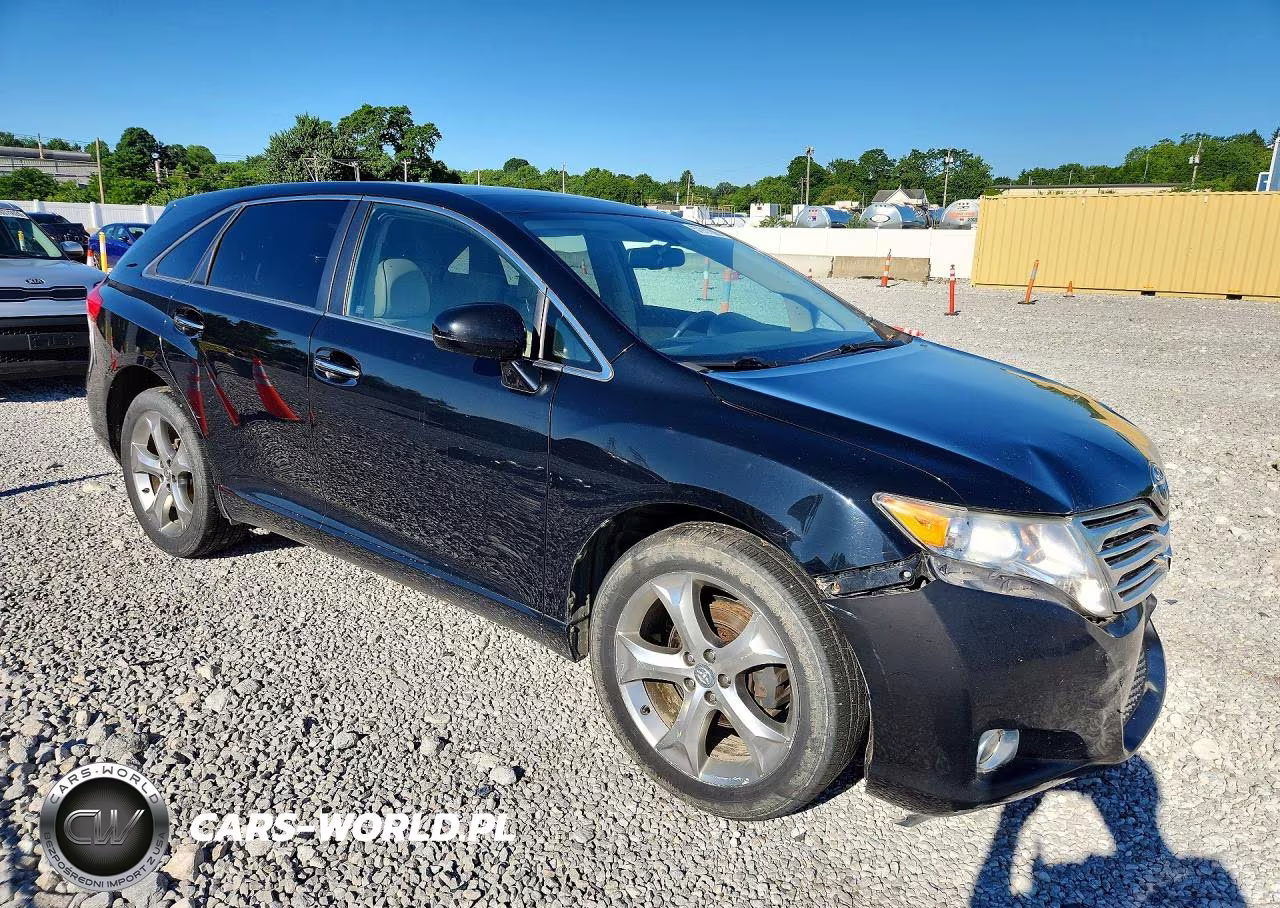 2010 Toyota Venza Awd V6 VIN:4T3BK3BBXAU028307 - 4
