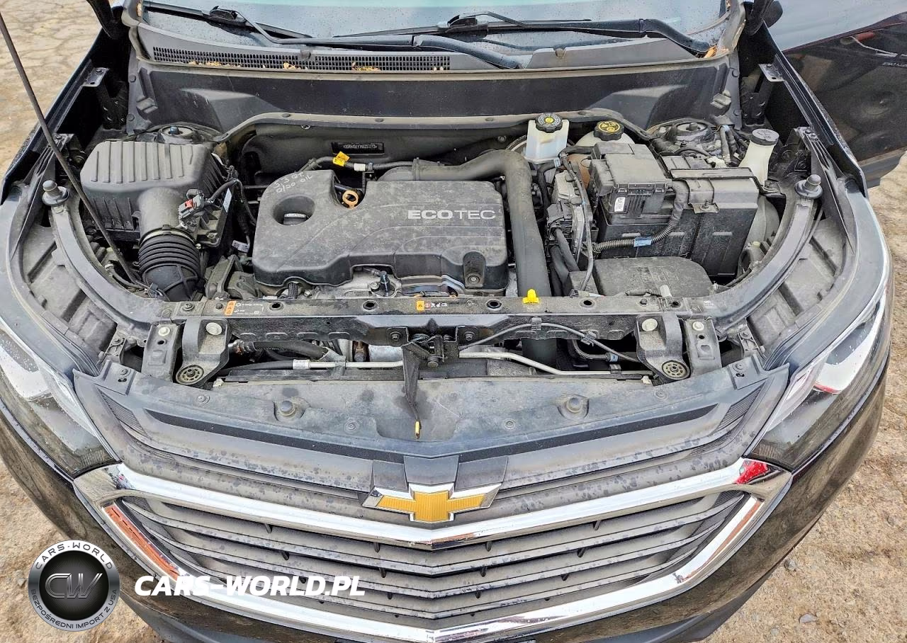 2019 Chevrolet Equinox 1Ls VIN:2GNAXSEV1K6237713 - 12
