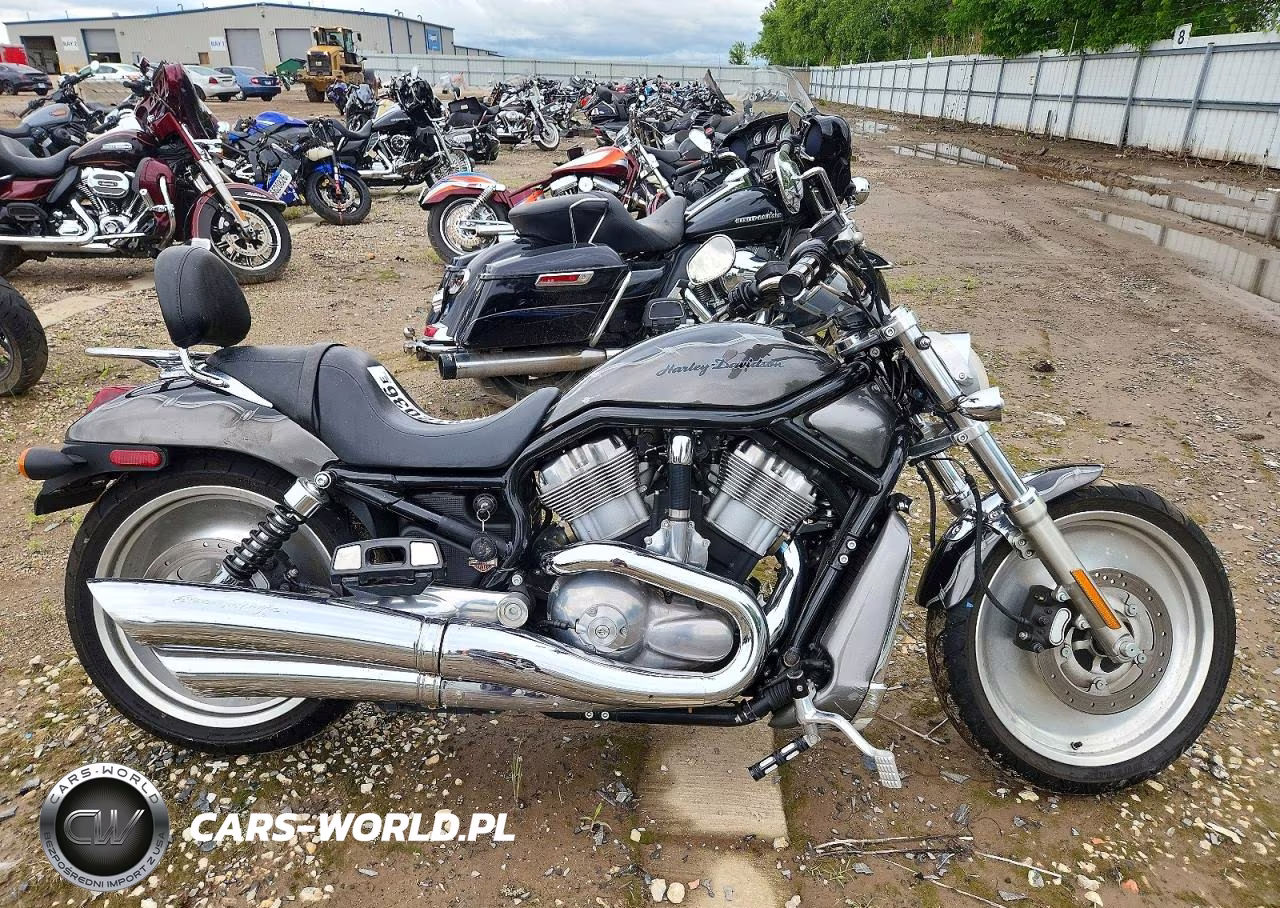 2004 Harley-Davidson Vrscb