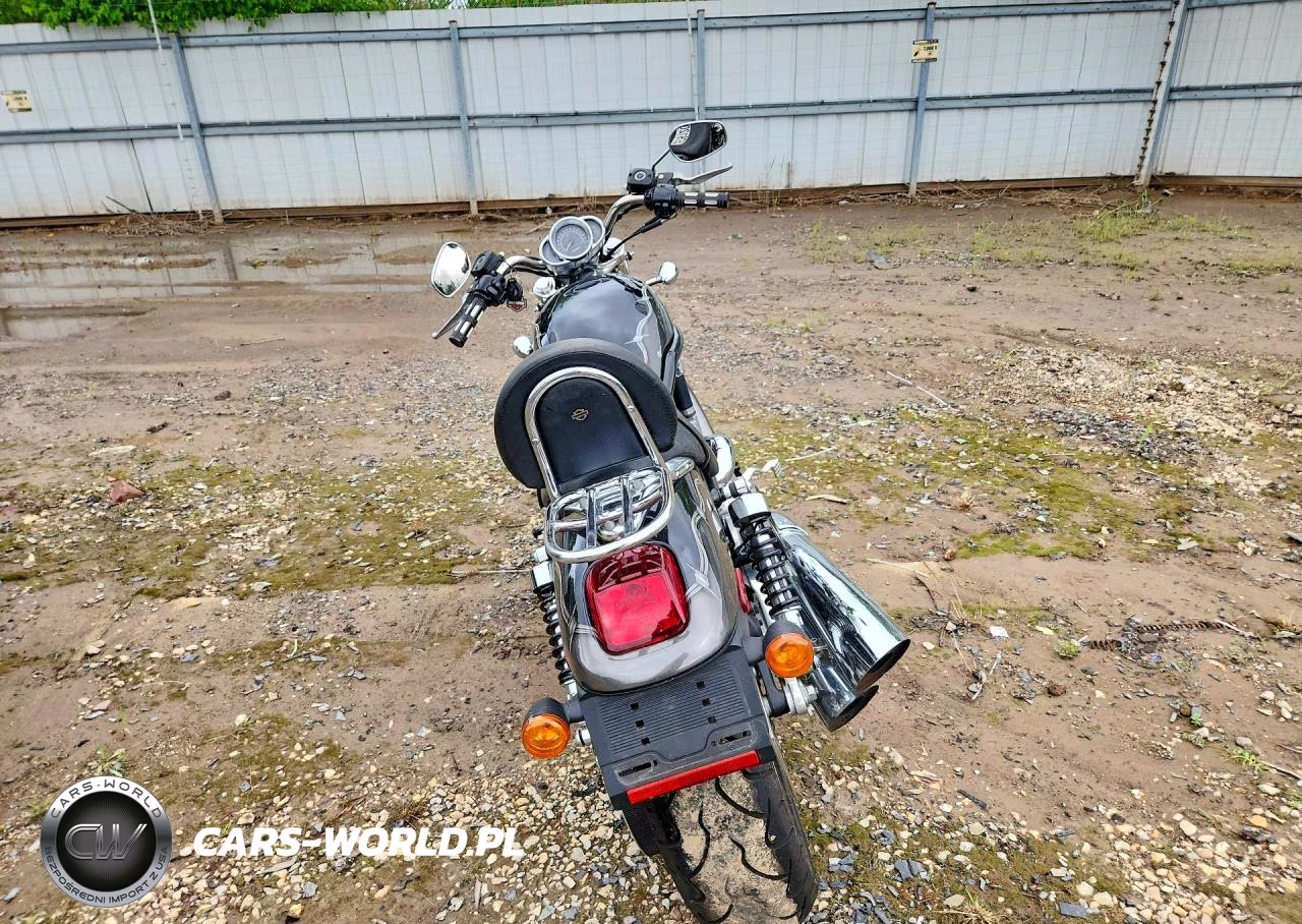 2004 Harley-Davidson Vrscb VIN:1HD1HBZ144K809286 - 4