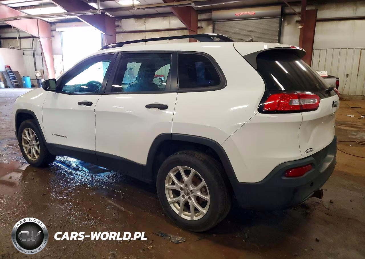 2015 Jeep Cherokee Sport VIN:1C4PJLAB9FW596700 - 2