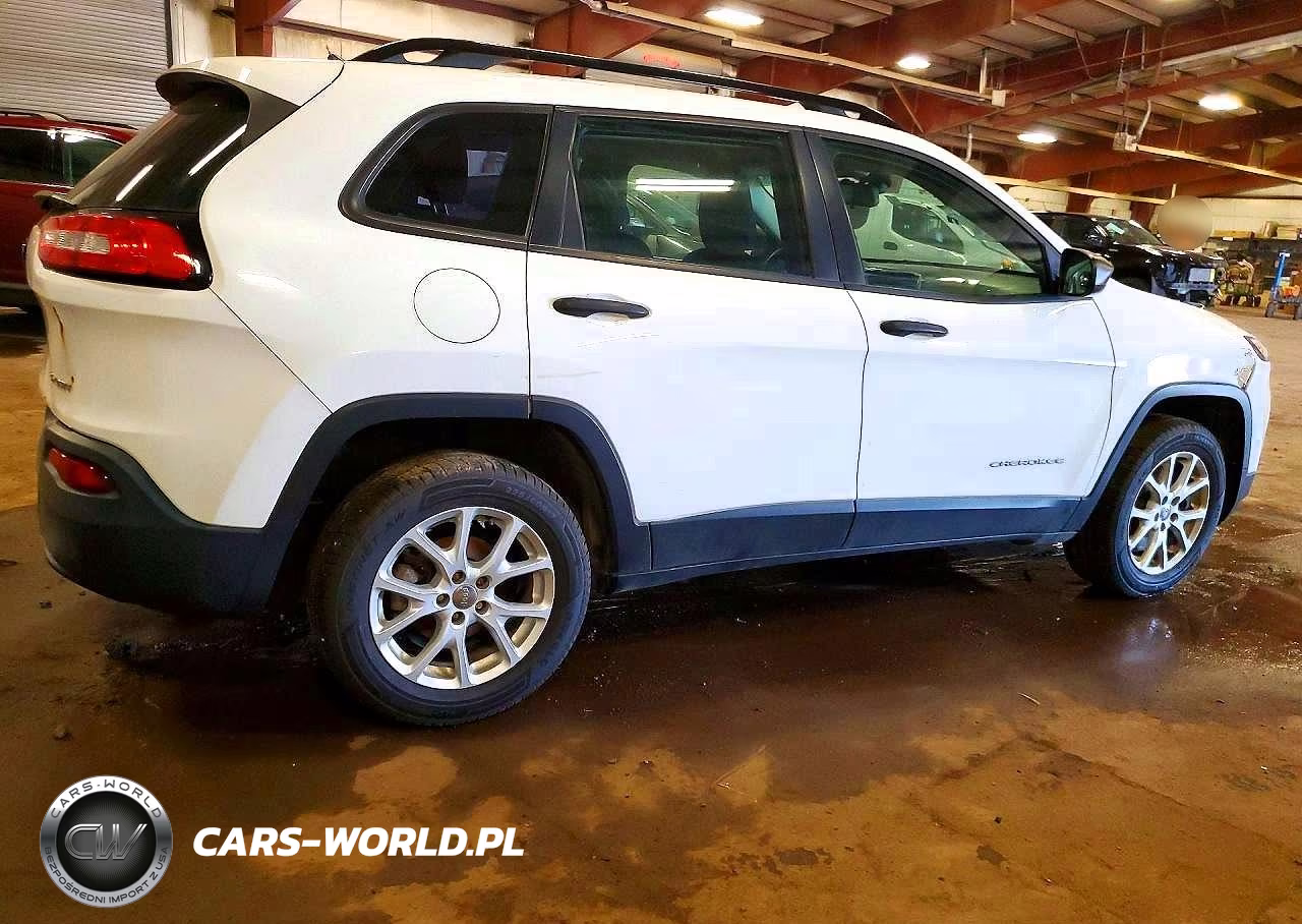 2015 Jeep Cherokee Sport VIN:1C4PJLAB9FW596700 - 3