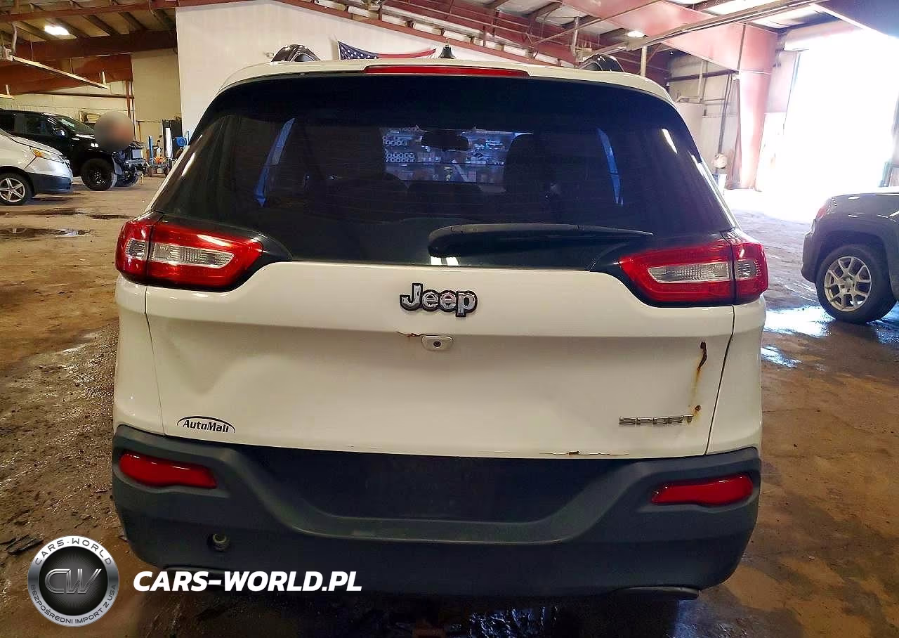 2015 Jeep Cherokee Sport VIN:1C4PJLAB9FW596700 - 6