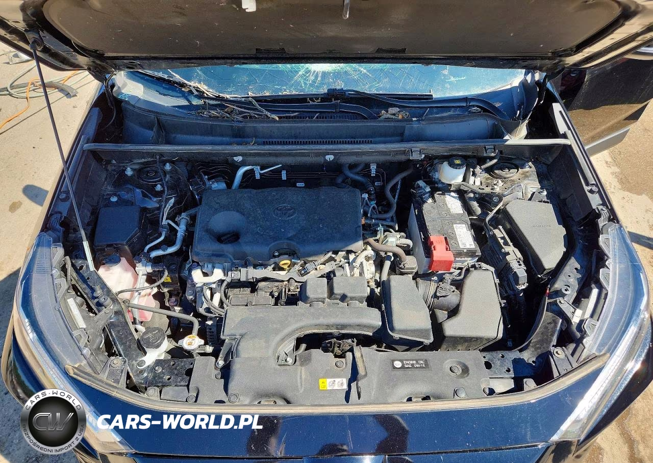 2023 Toyota Rav4 Xle VIN:2T3P1RFV0PW358160 - 12
