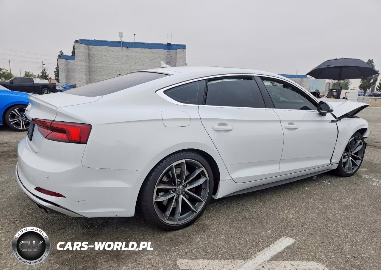 2019 Audi S5 Premium Plus VIN:WAUB4CF55KA090838 - 3