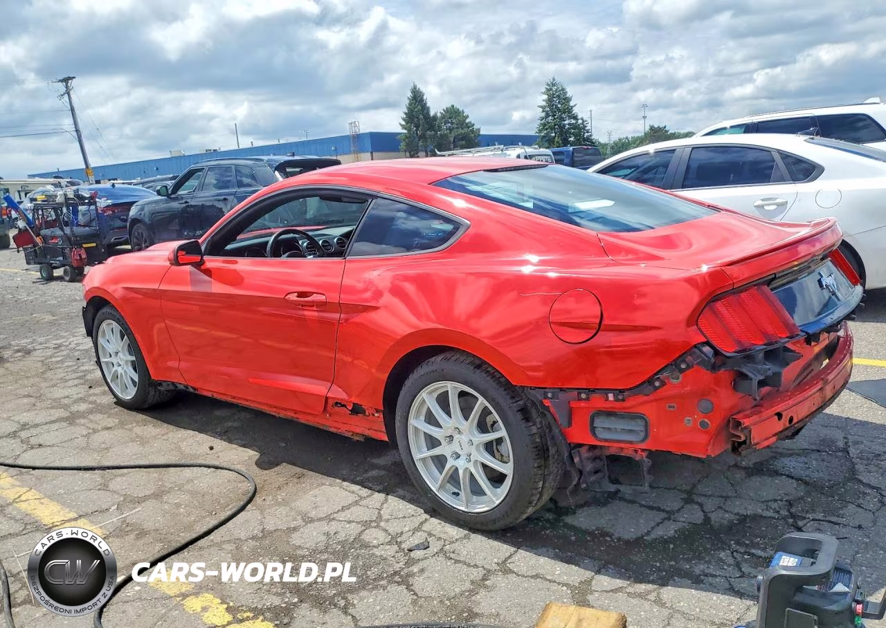 2015 Ford Mustang VIN:1FA6P8AM4F5303810 - 2