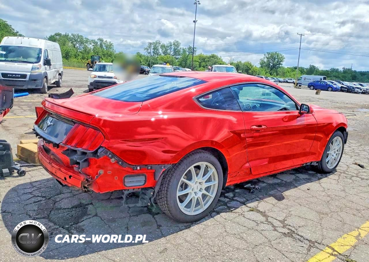 2015 Ford Mustang VIN:1FA6P8AM4F5303810 - 3
