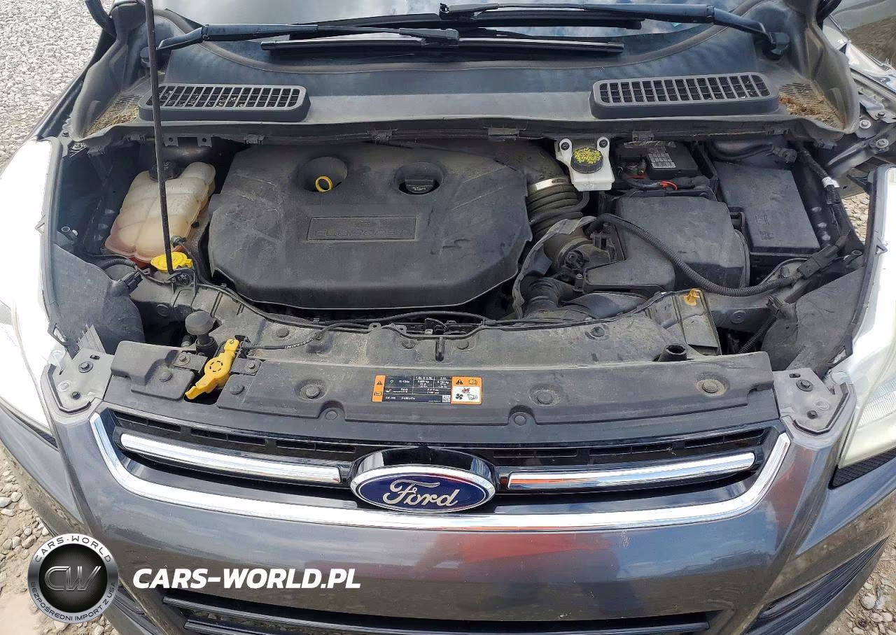2016 Ford Escape Titanium VIN:1FMCU9J9XGUA36604 - 12