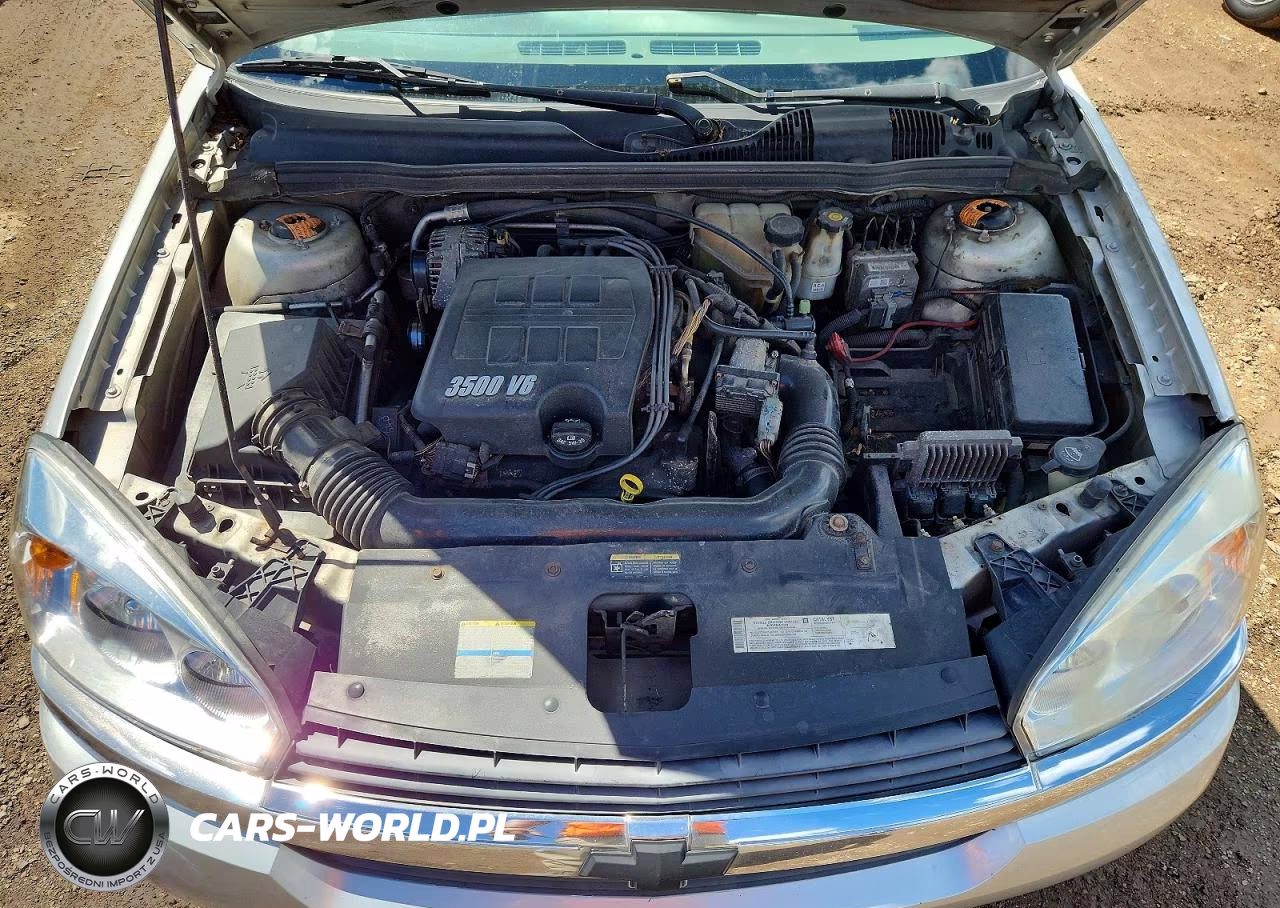 2005 Chevrolet Malibu VIN:1G1ZS52885F304112 - 11