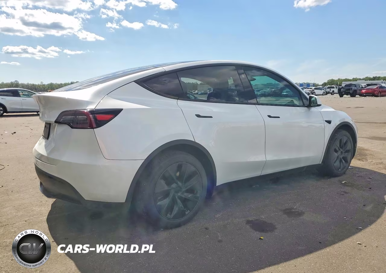 2024 Tesla Model Y VIN:7SAYGDED8RA323132 - 3