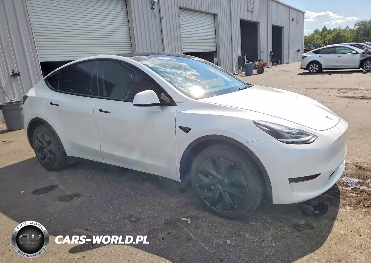 2024 Tesla Model Y VIN:7SAYGDED8RA323132 - 4