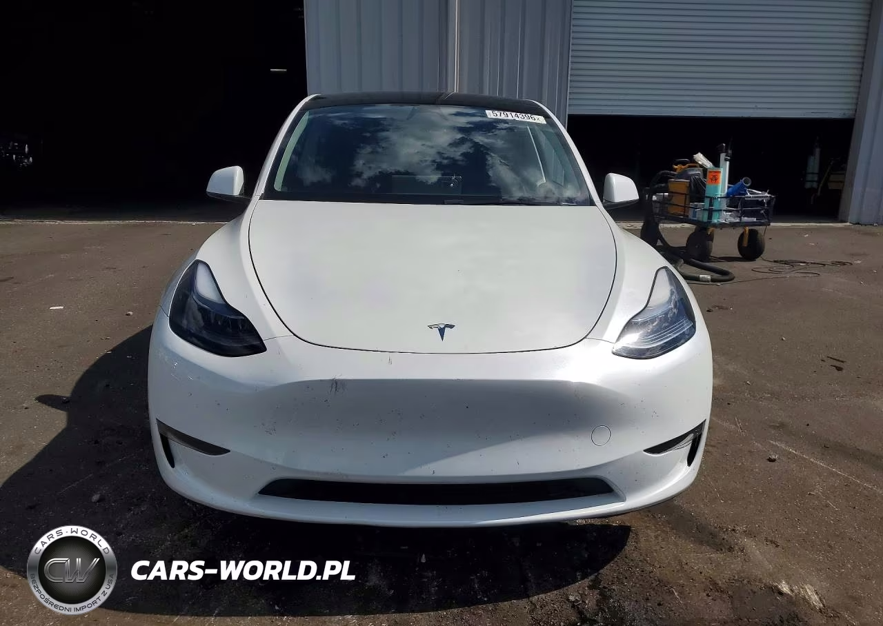 2024 Tesla Model Y VIN:7SAYGDED8RA323132 - 5