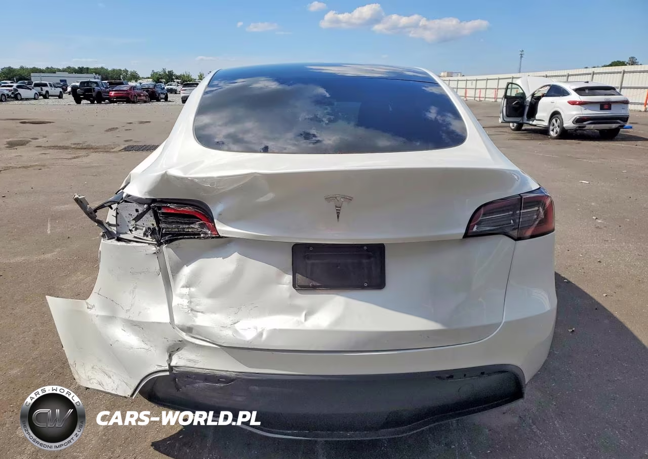 2024 Tesla Model Y VIN:7SAYGDED8RA323132 - 6