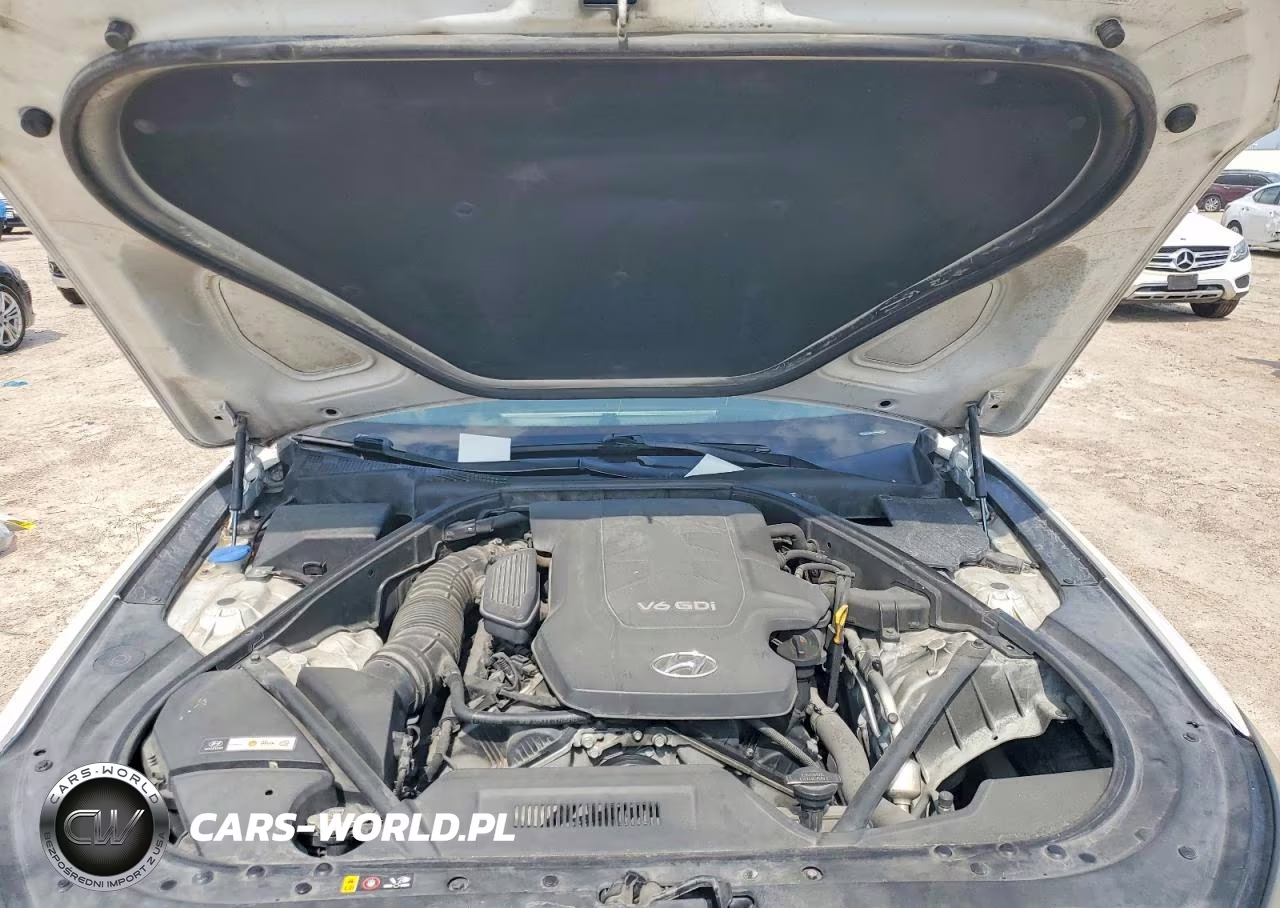 2016 Hyundai Genesis 3.8L VIN:KMHGN4JE7GU111967 - 11