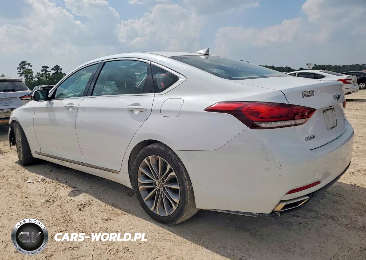 2016 Hyundai Genesis 3.8L VIN:KMHGN4JE7GU111967 - 2