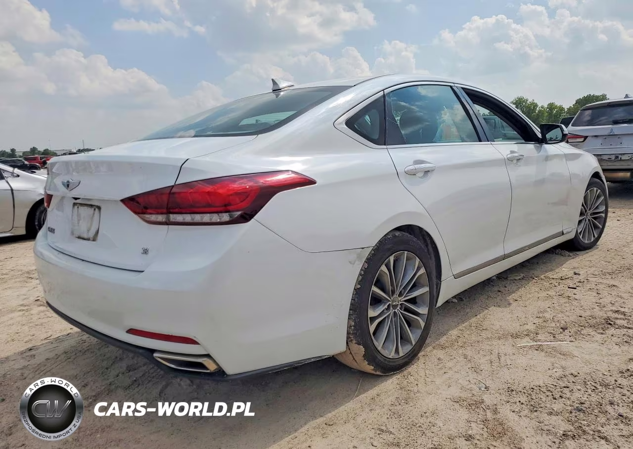 2016 Hyundai Genesis 3.8L VIN:KMHGN4JE7GU111967 - 3
