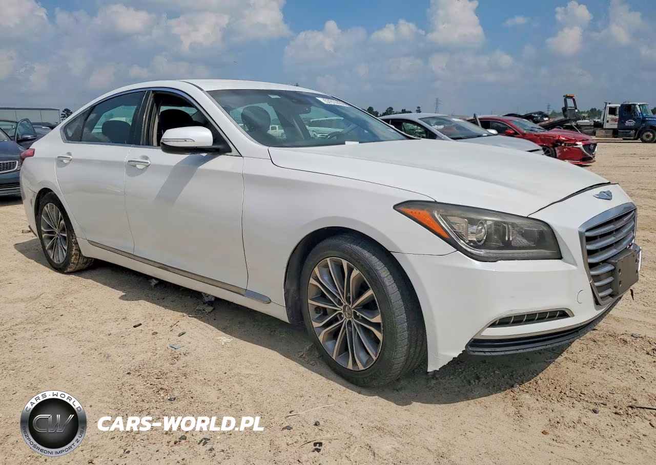 2016 Hyundai Genesis 3.8L VIN:KMHGN4JE7GU111967 - 4