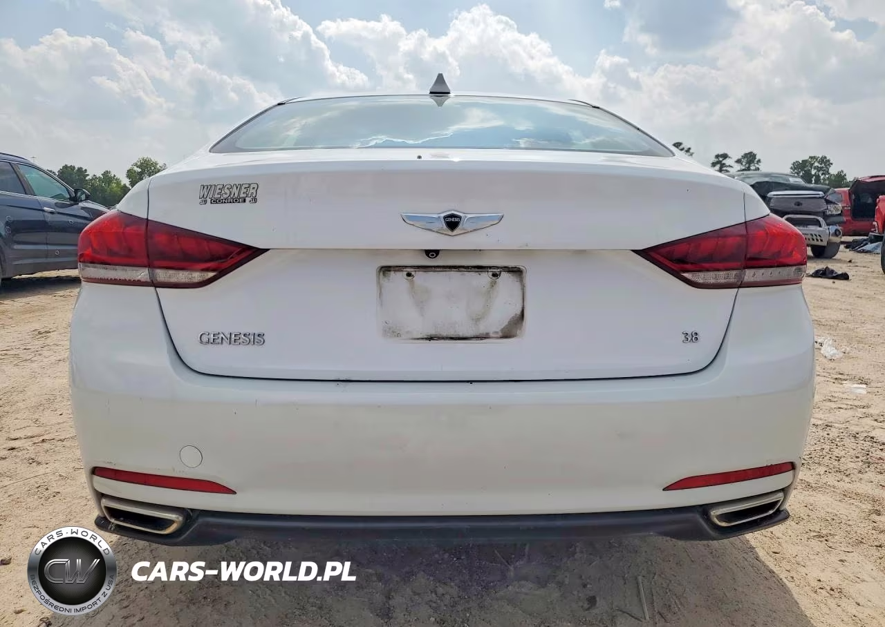 2016 Hyundai Genesis 3.8L VIN:KMHGN4JE7GU111967 - 6