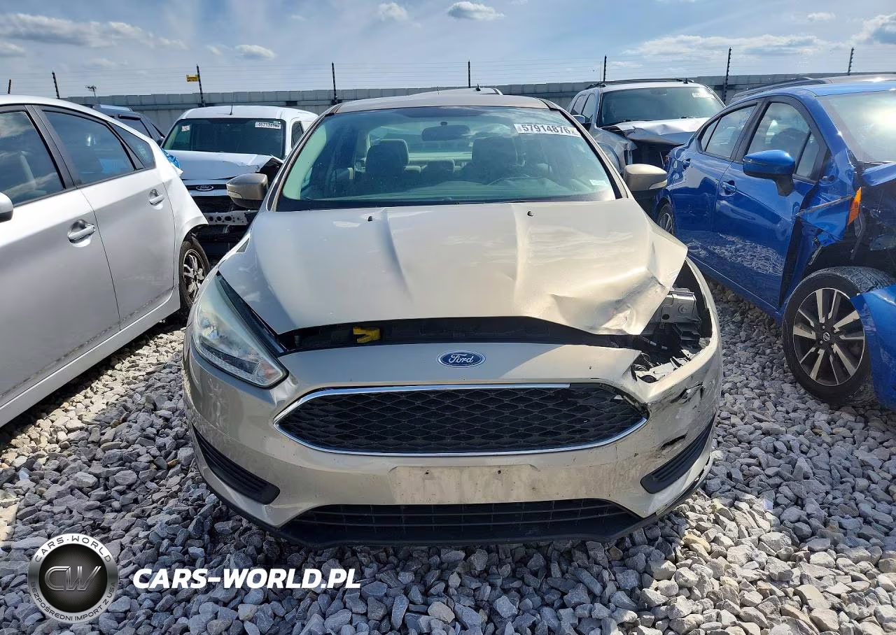 2016 Ford Focus Se VIN:1FADP3F24GL344095 - 5