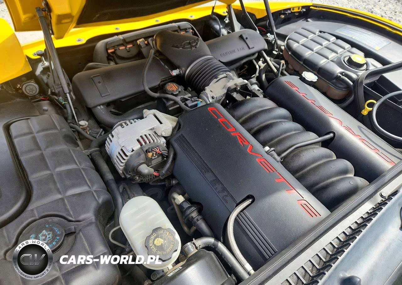 2000 Chevrolet Corvette VIN:1G1YY22G4Y5126595 - 11