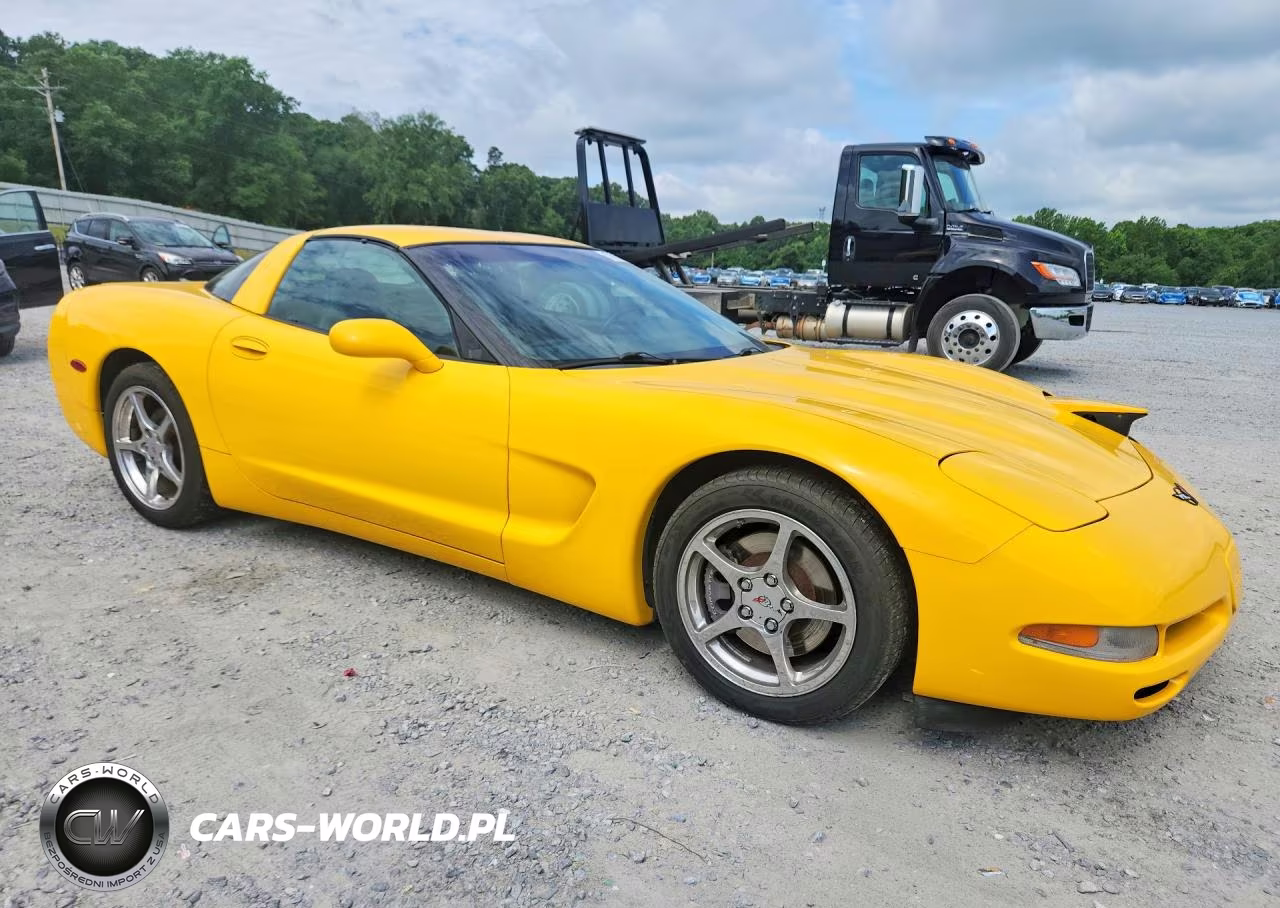 2000 Chevrolet Corvette VIN:1G1YY22G4Y5126595 - 4
