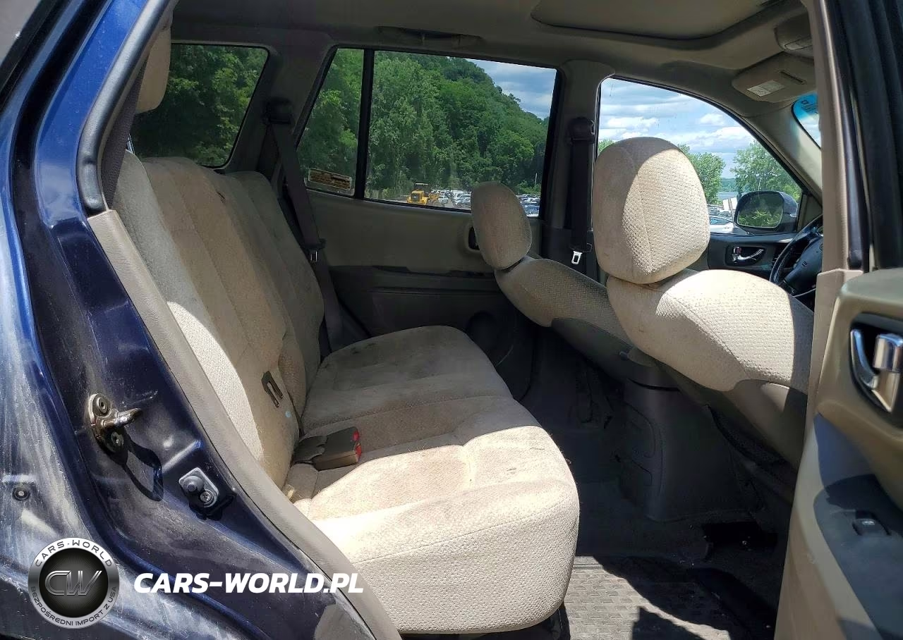2005 Hyundai Santa Fe Gls VIN:KM8SC73D65U954853 - 11